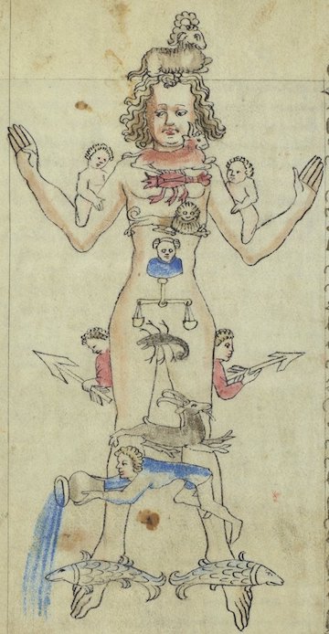 Zodiac man from an astronomical and medical miscellany. Kislak Center for Special Collections, Rare Books and Manuscripts, LJS 463, folio 54v. 