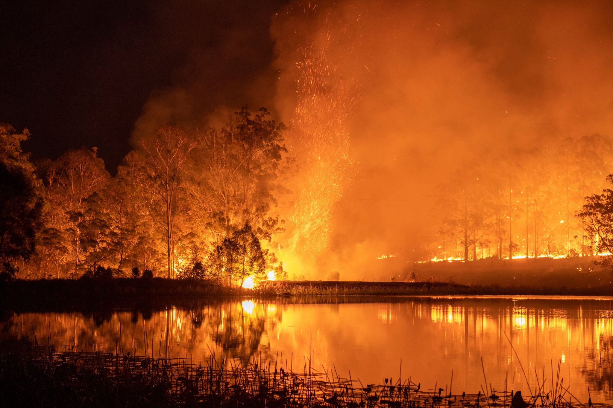 trees and water illuminated by wildfire in New South Wales