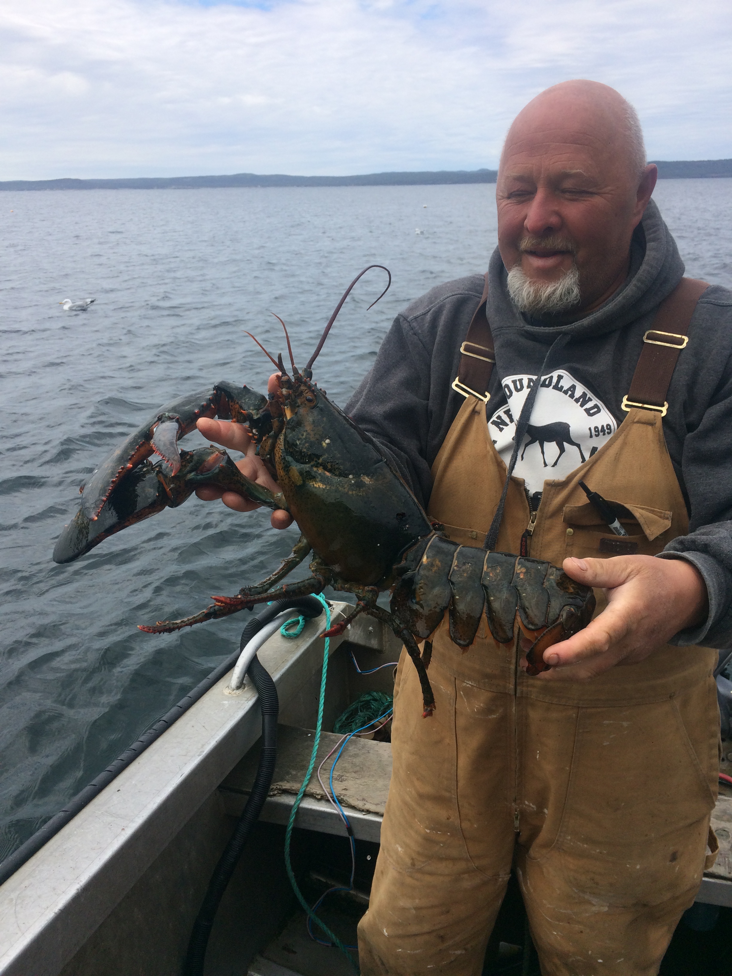 Jerry holding a lobster on his boat