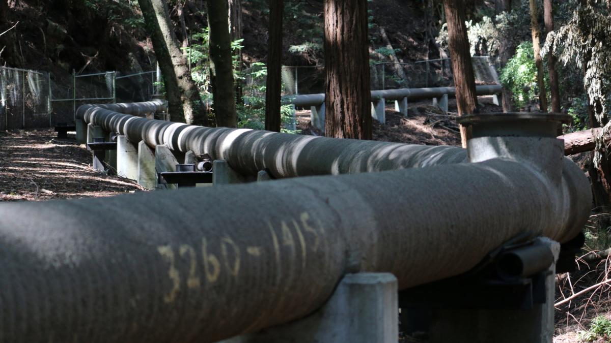 Wastewater pipes run through hidden gulches along the route of the Santa Cruz Wastewater Walk, 20115. Photo by FICTILIS.