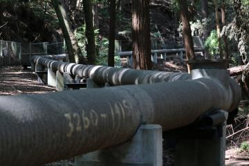 Wastewater pipes run through hidden gulches along the route of the Santa Cruz Wastewater Walk, 2015. (FICTILIS).