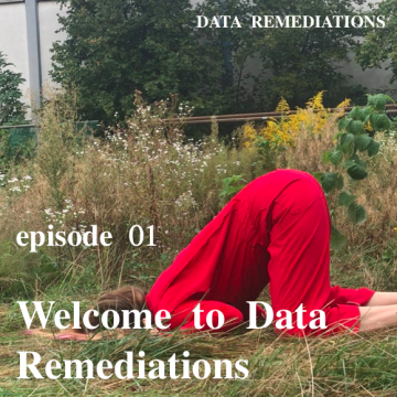 Welcome to Data Remediations
